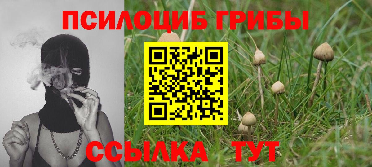 Великий Устюг  Псилоцибиновые грибы GOLDEN TEACHER  Псилоцибиновые грибы мухоморы  Вход с VPN 