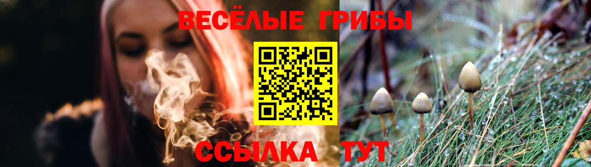 Галлюциногенные грибы Magic Shrooms Великий Устюг